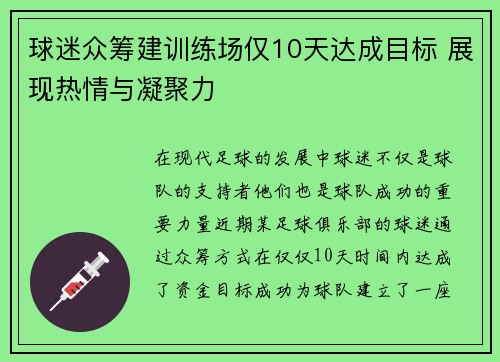 球迷众筹建训练场仅10天达成目标 展现热情与凝聚力